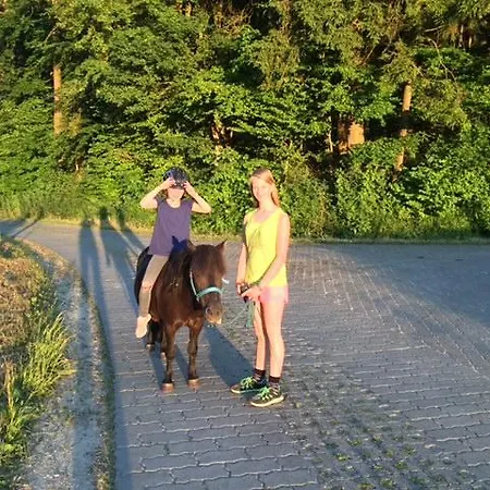 Hohe *