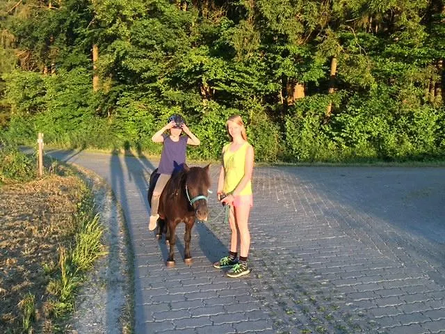 Hohe *